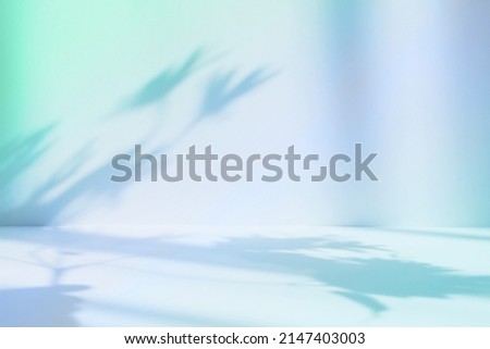 Abstract blue studio background for product presentation. Empty room with shadows of window and flowers and palm leaves . room with copy space. Summer concert. Blurred backdrop.