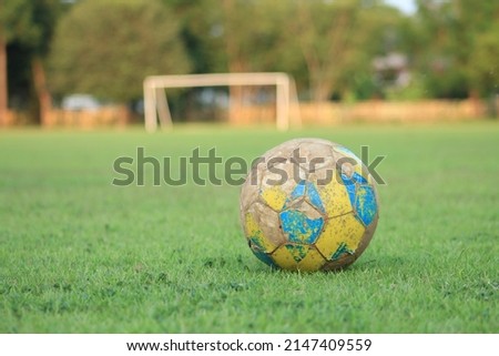 An old soccer ball is placed on the lawn.