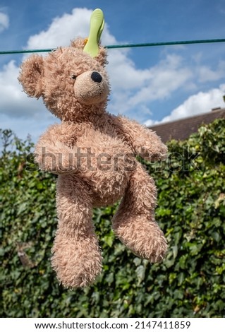 A brown teddy bear cuddly toy hanging on a washing line with a single peg, with a green hedge background