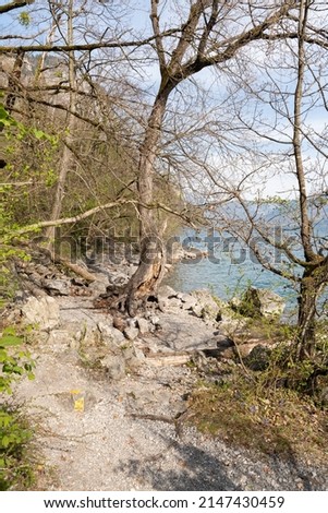 Weesen, Switzerland, April 13, 2022 Fascinating view over the lake Walensee and the alps in the background in spring time