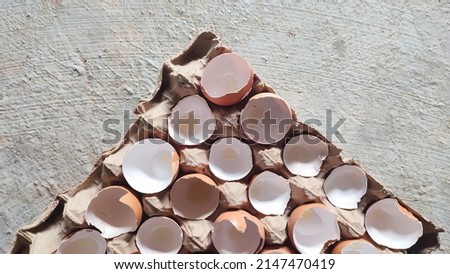 Chicken egg shell on egg tray