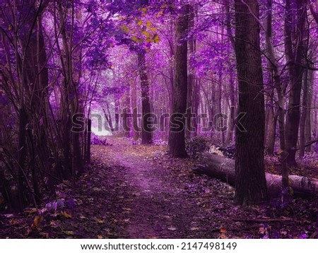 Magical autumn forest in the fog. Strange woods in purple tones. Beautiful nature.
