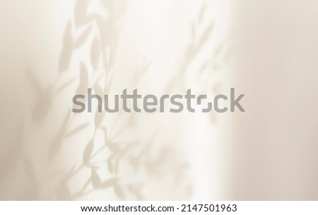 Abstract silhouette shadow overlay white background of natural leaves tree branch falling on wall. Transparent blurred focus shadows leaf in morning sun light. Copy space for text. Royalty-Free Stock Photo #2147501963