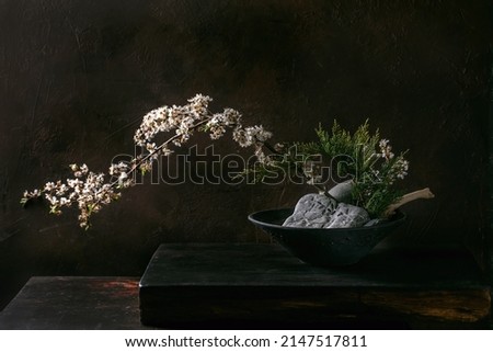 Spring ikebana. Minimalistic floral composition with spring blooming white flowers, thuja branch and stones in black ceramic bowl, standing on black wooden table. Japanese style home decor Royalty-Free Stock Photo #2147517811