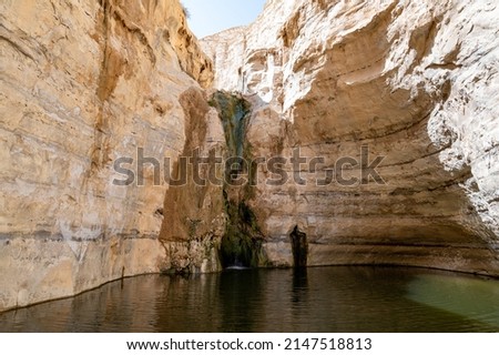 The canyon Ein Avdat is formed by the Qing River. Israel. Picturesque waterfall in the middle of the Negev desert. Mountains are reflected in the greenish mirror lake.