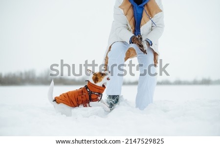 Woman in warm clothes in winter playing with a cute dog breed Jack Russell in the snow, close photo.