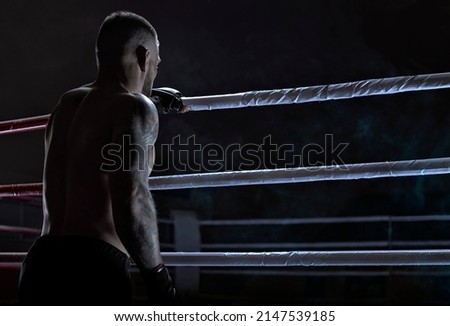 Kickboxer climbs into the ring. View from the back. Sports competitions. Fight night. The concept of mixed martial arts. MMA