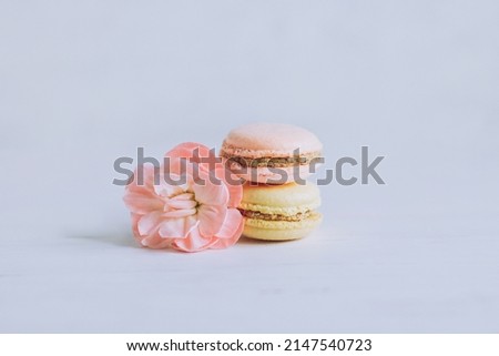 Tasty french macarons with flower on a white background. Place for text.