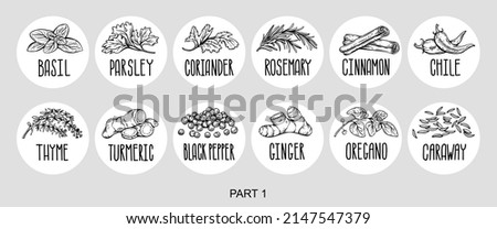 Vector set of stickers for spices.  basil, parsley, coriander, rosemary, cinnamon, chili, pepper, thyme, turmeric, black pepper, ginger, oregano, cumin, poppy, anise, garlic, dill, mustard, saffron,  Royalty-Free Stock Photo #2147547379