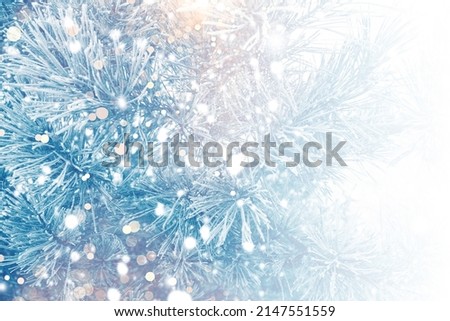 Abstract winter background. Blurred. Frozen winter forest with snow covered trees. outdoor