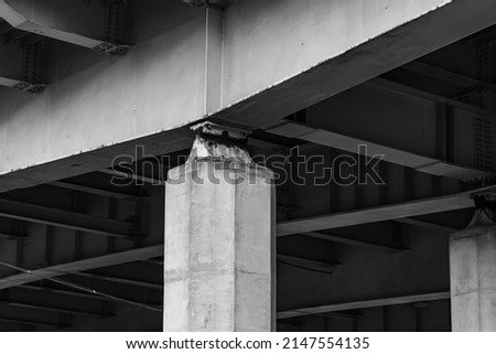 Connection of a steel bridge span and a column, bottom view of a modern viaduct Royalty-Free Stock Photo #2147554135
