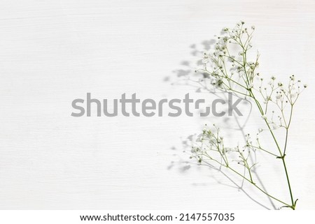 Blank paper business cards with mockup copy space on gypsophila on beige background. Minimal business template. Flatlay, top view.