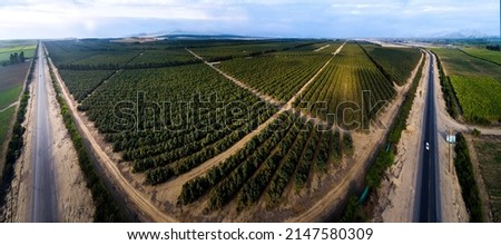Trujillo, Peru: Aerial image of the technified crops in the Peruvian desert, specialized in products for agro-export Royalty-Free Stock Photo #2147580309