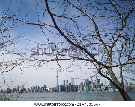 Toronto skyline from Ward's Island