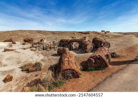Images from the Petrified National Forrest, AZ, USA