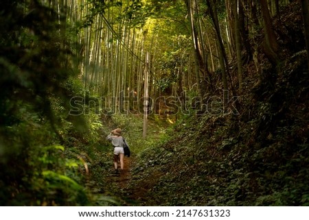 The backside of a young woman walking through a bamboo forest with a large hat and white shorts in Guizhou Province, China.