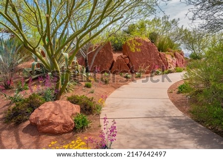 The flower lined pathway at Red Rock Desert Garden near St. George Utah. Royalty-Free Stock Photo #2147642497