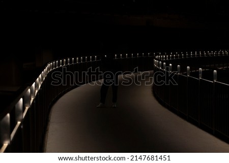 Park path at night. The light of the fanars on the embankment bridge. Path in the dark. Place for a walk.