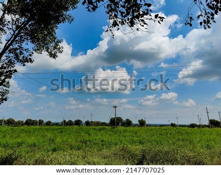 Stock photo of beautiful farmland fully grown crops and plants, surrounded by green tree. electric pole installed in the middle of the land, blue sky and white clouds no background, at Gulbarga,India.