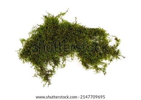 Green moss isolated on white background. Nature backgraund. Royalty-Free Stock Photo #2147709695