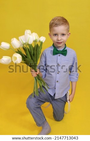 little gentleman boy on an isolated yellow background is kneeling and holds a bouquet of white tulips. Boy gives a bouquet of flowers for the holiday on March 8, mother's Day. High quality photo