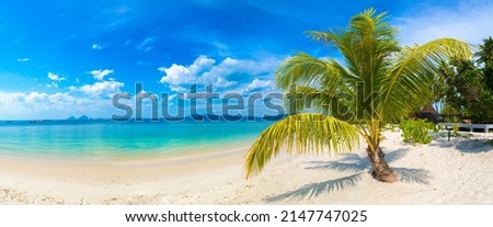 Panorama of  Single small palm tree hanging over tropical beach with white sand