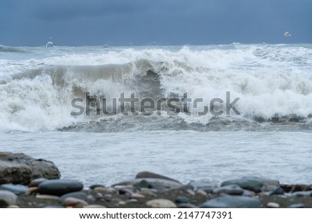 Storm waves of the sea from the shore , seagulls fly over the waves