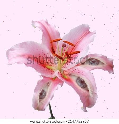 Spring mood. Surreal lily flower with an eye inside it on light pink background. Modern design. Contemporary art. Creative and monochrome collage. Beauty, art, vision. Eyeball in flower.