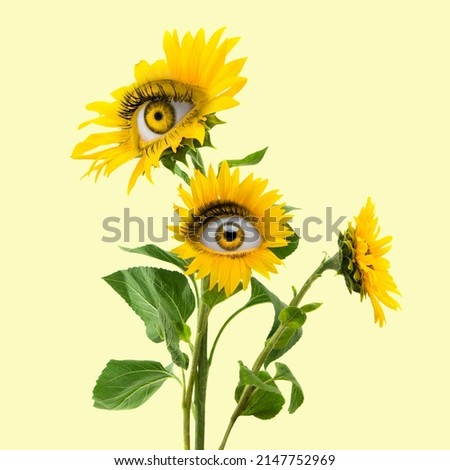 Funny bush. Yellow camomile flowers with an eye inside it on light background. Modern design. Contemporary art. Creative collage. Beauty, art, vision. Eyeball in flower. Surrealism, minimalism