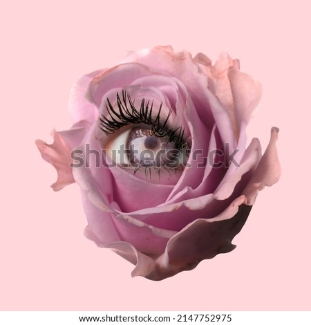 Tenderness. Tea-rose flower with an eye inside it on pink background. Modern design. Contemporary art. Creative and monochrome collage. Beauty, art, vision. Eyeball in flower. Surrealism, minimalism