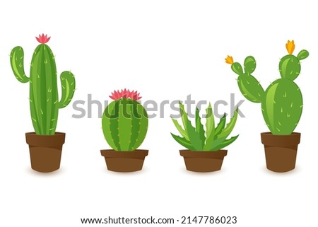  Desert banner set, green cactus world. Flat cartoon style. Vector illustration isolated on white background. Design elements