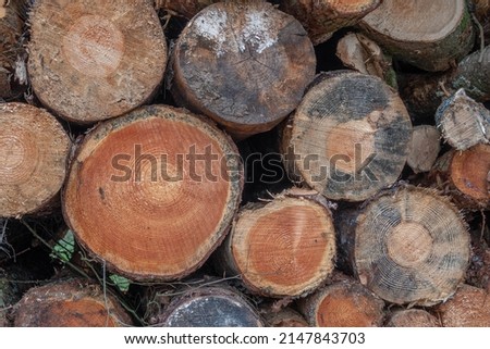 stack of logs in the countryside logging timber wood industry	