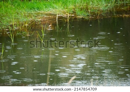 portrait photo of raining and cloudy day, raining on the pond