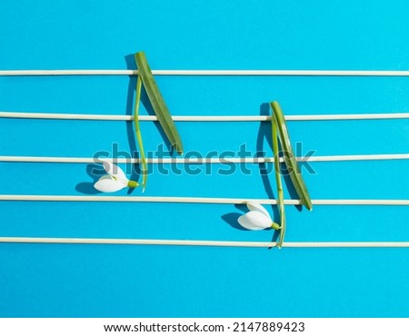 A surreal minimalist composition made of wooden sticks and snowdrop blooms on a turquoise background. Concept of music. Creative minimal design of musical notation. Copy space.