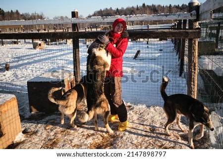 A young Caucasian woman came to an animal shelter to choose a dog for herself. Northern sled Alaskan huskies mestizos of several breeds in the aviary in winter on the snow communicate with a person.