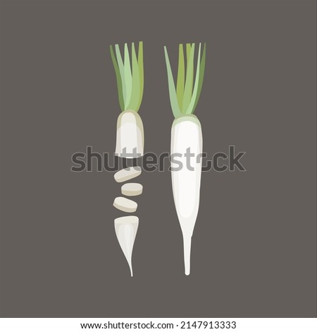 Daikon radish with green stem vegetable root.  Half and Slice white radish vector illustration isolated on colour background Royalty-Free Stock Photo #2147913333