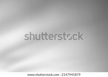 Light grayscale background, abstract shadow, paper texture, basis for poster, presentation Royalty-Free Stock Photo #2147945879