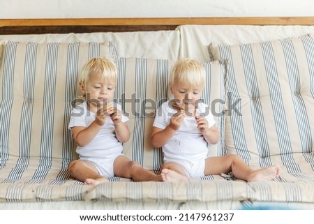 Two beautiful babies are enjoying cookies. Photo of toddler twins with a blonde hair eating biscuits on a sofa in the living room. Funny picture of a baby, identical kids eating sweets together