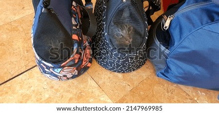 Cats in carrier bags. Traveling with cats. Transportation of cats in carrier bags. Cat in a bag. Cat in a carrier. Traveling with pets abroad. Carrier bag for cats and pets. Royalty-Free Stock Photo #2147969985