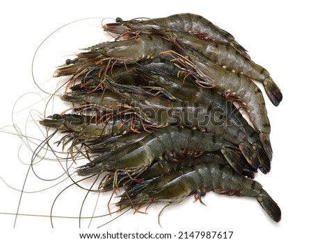 Raw black tiger shrimp isolated on white background