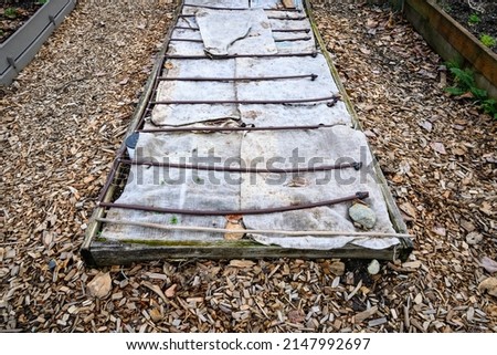 Winterized kitchen garden, raised planting bed covered with burlap for weed prevention
 Royalty-Free Stock Photo #2147992697
