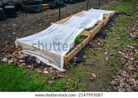 Winterized kitchen garden, raised planting bed covered with white fabric for weed prevention
 Royalty-Free Stock Photo #2147993087