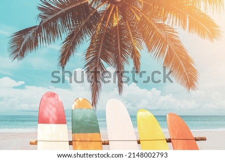 Surfboard and palm tree with blue sky on beach background. Travel adventure sport and summer vacation concept. Vintage tone filter effect color style.