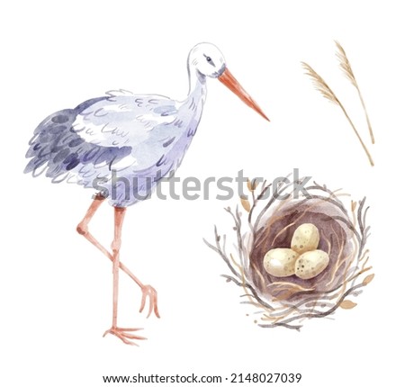Watercolor set of nest with three eggs and stork bird. Hand-drawn illustration isolated on the white background