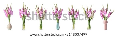 Set of vases with beautiful gladiolus flowers isolated on white   Royalty-Free Stock Photo #2148037499