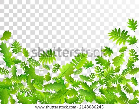 Bush leaves subtle vector composition. Tropical bush foliage closeup. Mix of many different leaves flying. Herbal natural illustration. Plant elements vibrant vector.