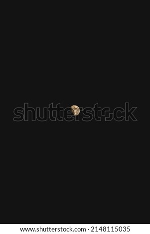 pictures of the moon with its stars
