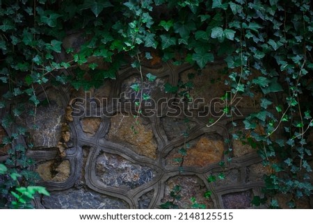 The texture of the stone. Fence made of stones with green leaves and branches. background