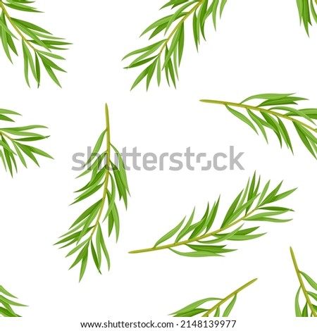 Tea tree seamless pattern. Botanical background with Melaleuca alternifolia green leaves. Vector illustration of branches of medicinal herbs in cartoon flat style. Royalty-Free Stock Photo #2148139977