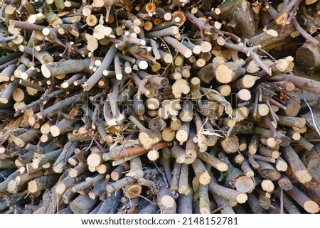 Wooden background. Pack of brushwood for backdrops. Hardwood bond, rustic clipped timber. Royalty-Free Stock Photo #2148152781